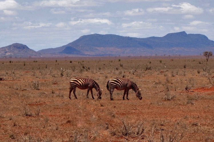 jo.vindelavin tweet media