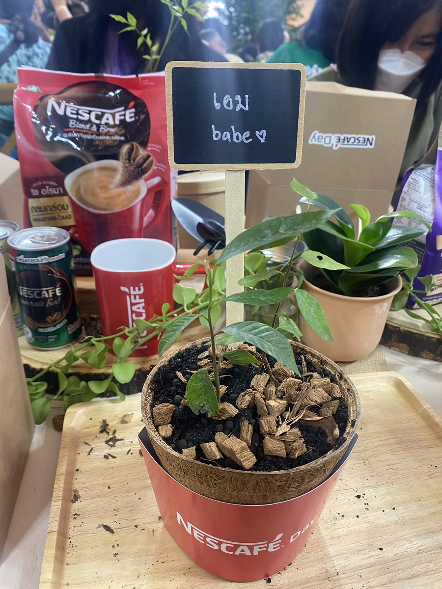 ปิ๊ง✨

JAM MEET N PLANT
#NESCAFEDAY2023