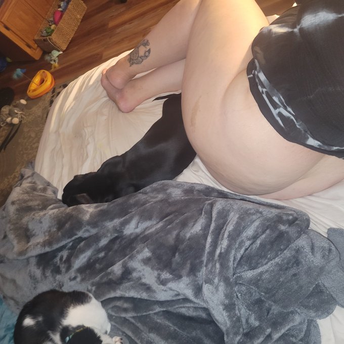 All black weiners like to cuddle against my warm booty https://t.co/CnaCzPEkOc<a href="/tag/mvsales"class="tags"><span>#mvsales</span></a>