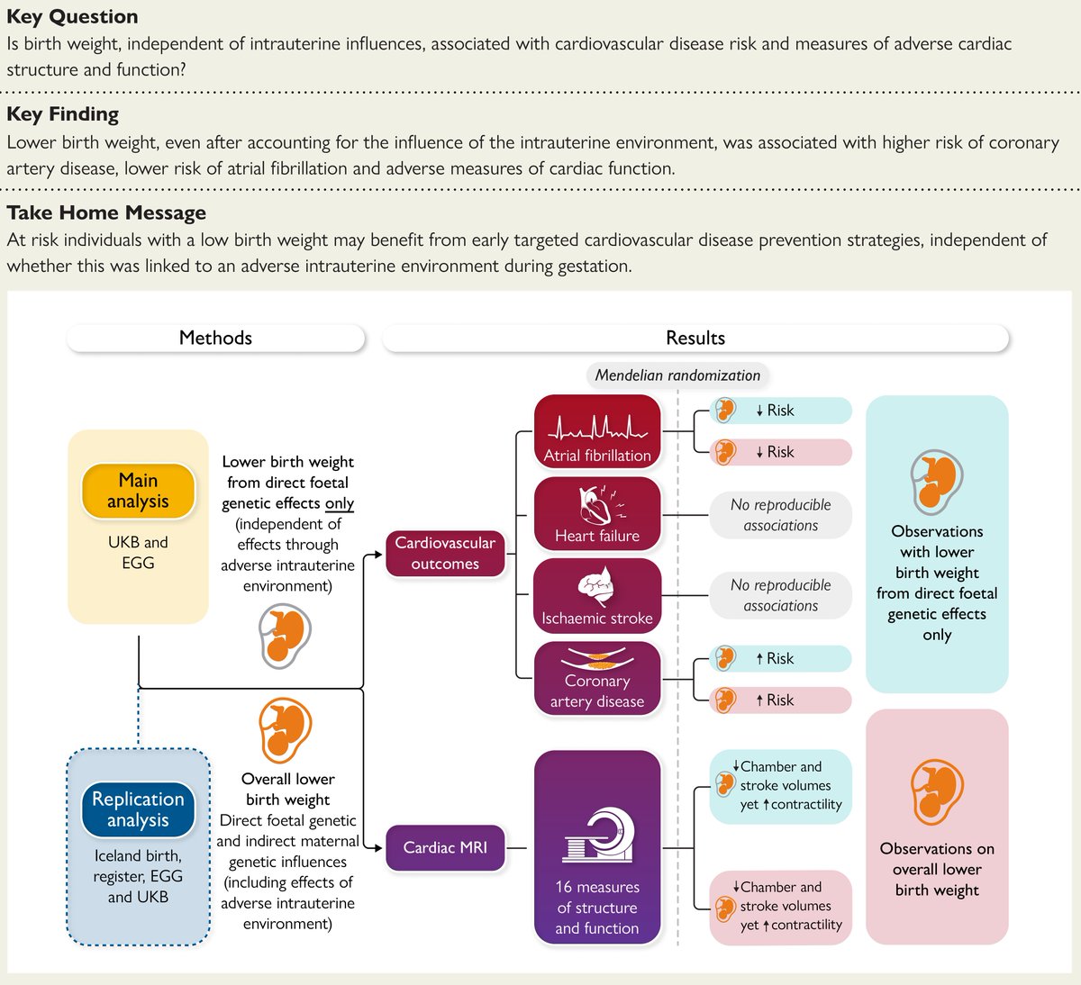 ehj_ed's tweet image. Low birth weight and early targeted cardiovascular disease prevention strategies: read the news on #EHJ!
#mendelian #randomization #birth #weight #cardiovascular #risk #disease
#EHJ #cardiotwitter   @escardio @ESC_Journals 
academic.oup.com/eurheartj/adva…