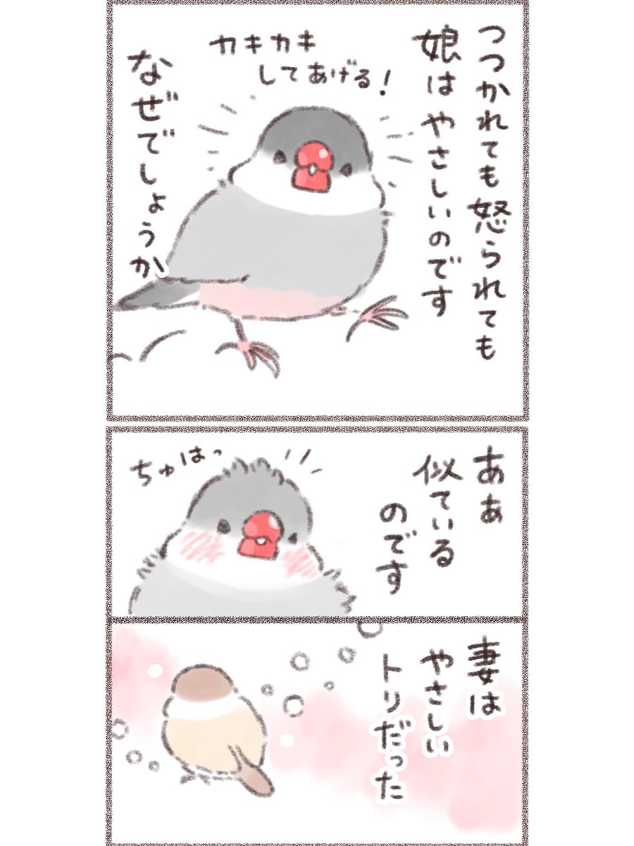 ひだまりの夢(2/2)  #文鳥 #漫画が読めるハッシュタグ