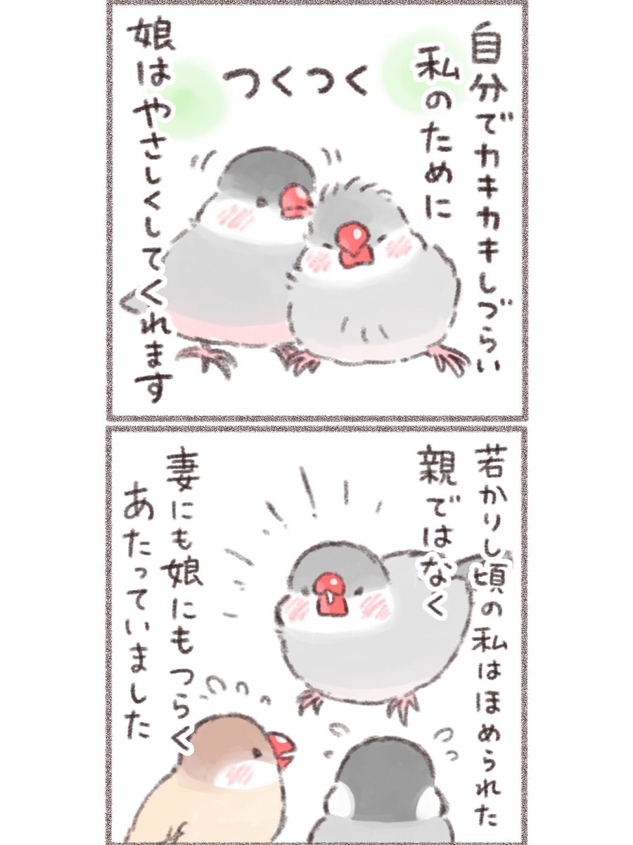 ひだまりの夢(2/2)  #文鳥 #漫画が読めるハッシュタグ