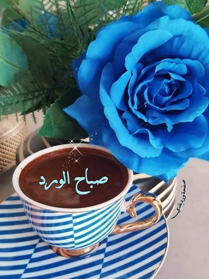 📖📝الخميس ١٣ - ٣ -١٤٤٥

يا ربِّ حياةٌ مُزهرة بالخيرِ الوفير ، مُبهِجة لأرواحِنا ، مليئة بالمسَّـرات

صباح الخير 💙💙