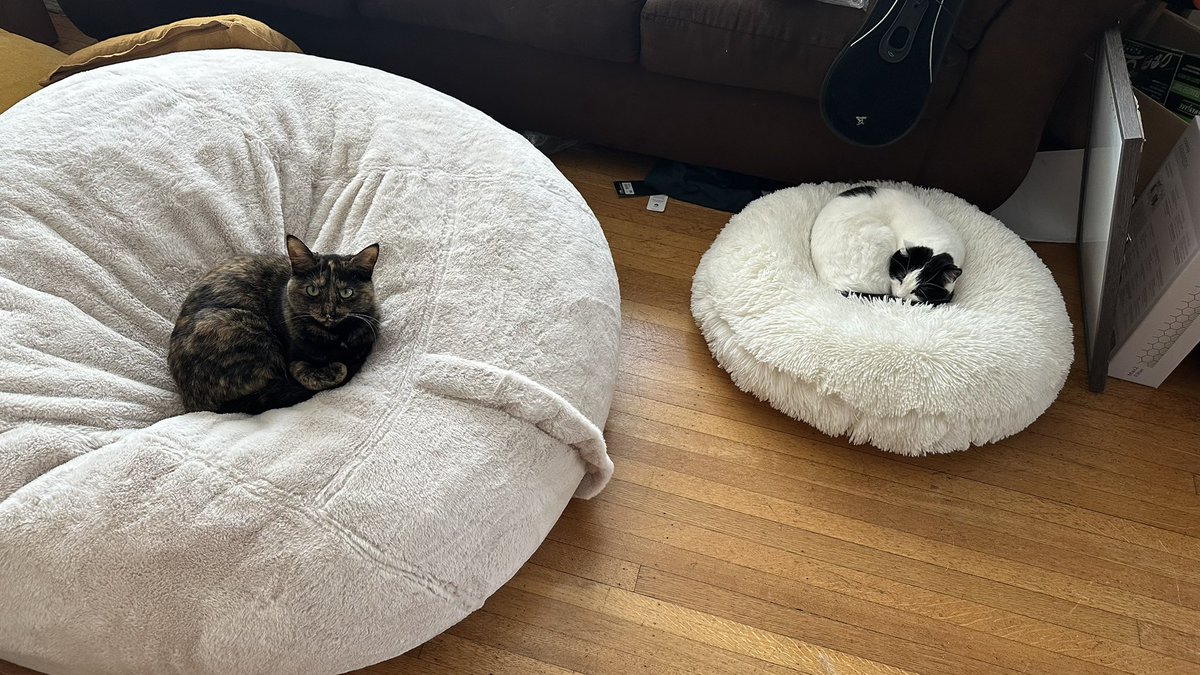 Snack Overflow tweet media