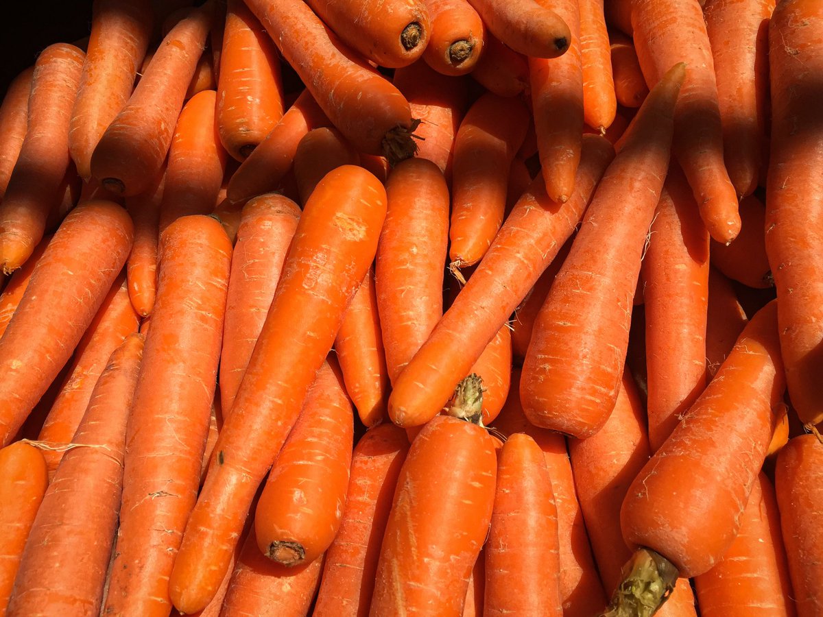 DorothNengai's tweet photo. Freshness at it’s best 
At #kenaldofreshfinds quality is our language
Punctuality is our tradition 
Text us your order today via 0713944226 or 0673944227
#Nitumesokoni 
#Freshveggies
#FoodSystems 
@JoatTz 
@MalemboLE 
@NemenceS 
@Nuru_G 
@FreshRafiki 
@Njole__ 
@kuyelayelaa https://t.co/R788YP0RGW