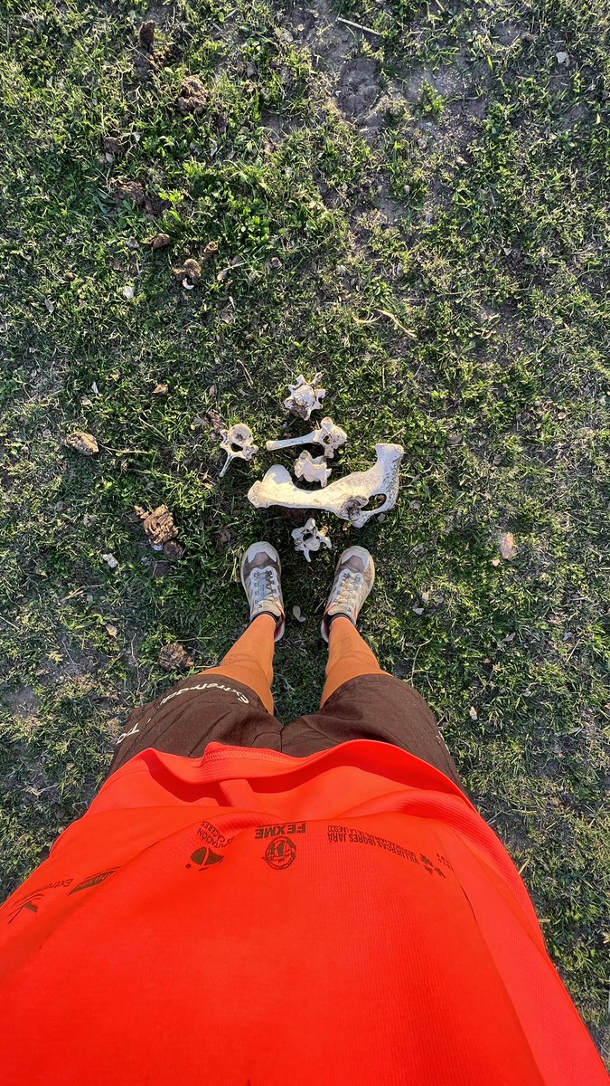 oscarvergel's tweet image. La semana cuesta arriba, pero siempre palante’ #makeiteasy