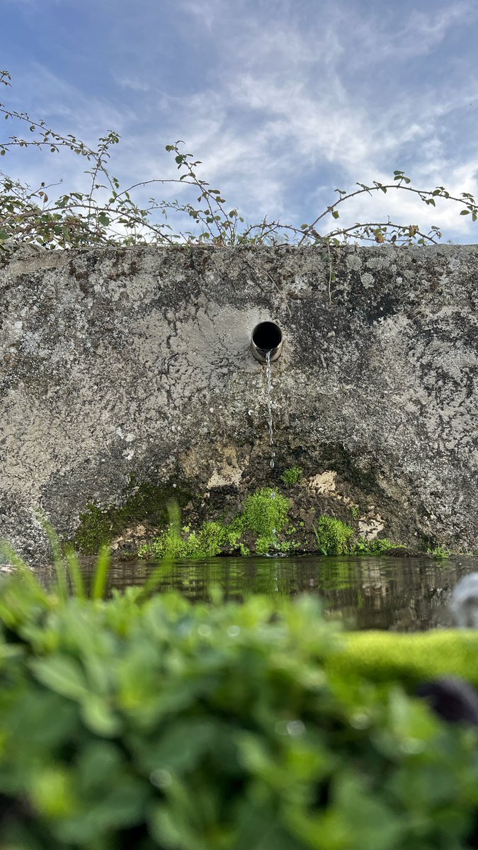 oscarvergel's tweet image. La semana cuesta arriba, pero siempre palante’ #makeiteasy