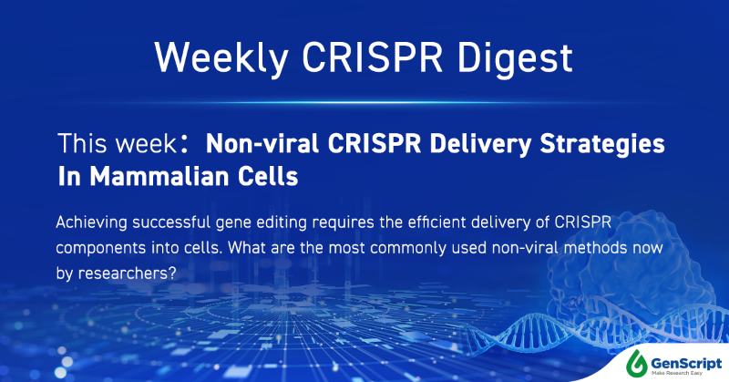 GenScript's tweet photo. #WeeklyCRISPRDigest Take 5 minutes with us to explore the most commonly used non-viral CRISPR delivery approaches by researchers nowadays.
#crispr #geneknockin #geneknockout #sgRNA #HDRtemplate #sgRNAdesign
