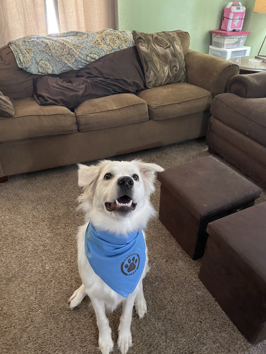 Jenna🪞 tweet media