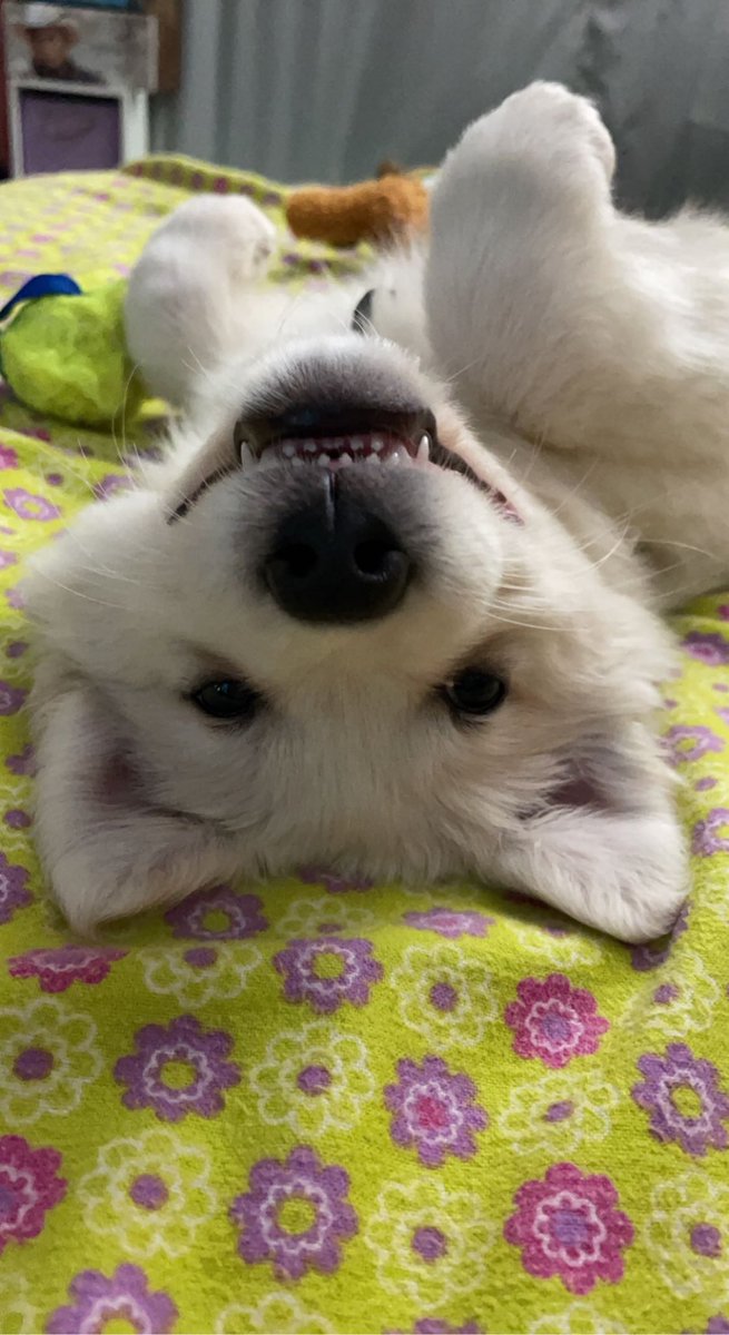 Jenna🪞 tweet media