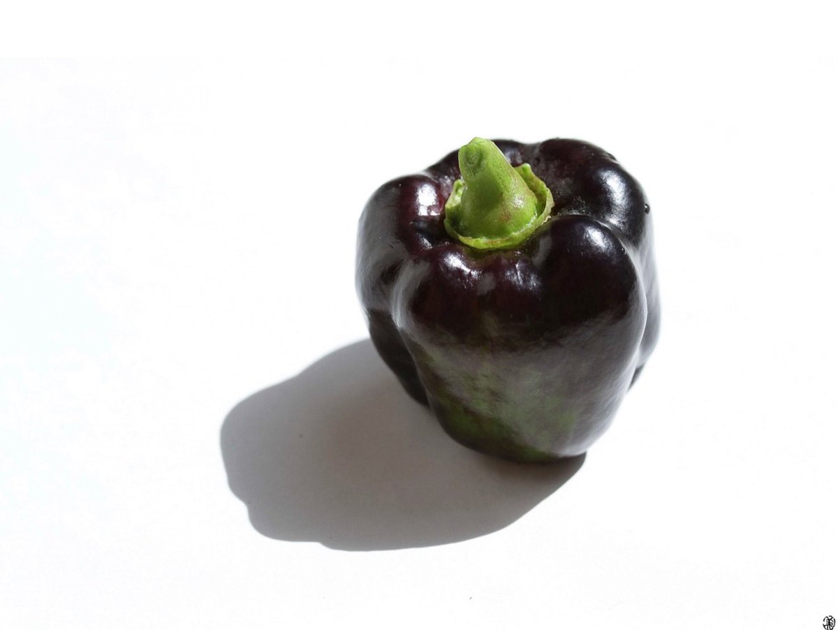 ikemorifarm's tweet photo. HAMAKURO BELL PEPPER / 浜クロピー202309

#hamakurobellpepper #bellpepper #vegeparts #foodcordinate #foodstyling #frenchcuisine #hokkaido #tokachi #ikemorifarm 
#浜クロピー #pepper #北海道 #十勝 #農家 #池守ファーム
#フレンチ #フードコーディネート #フードスタイリング https://t.co/9fEVEjxbW1
