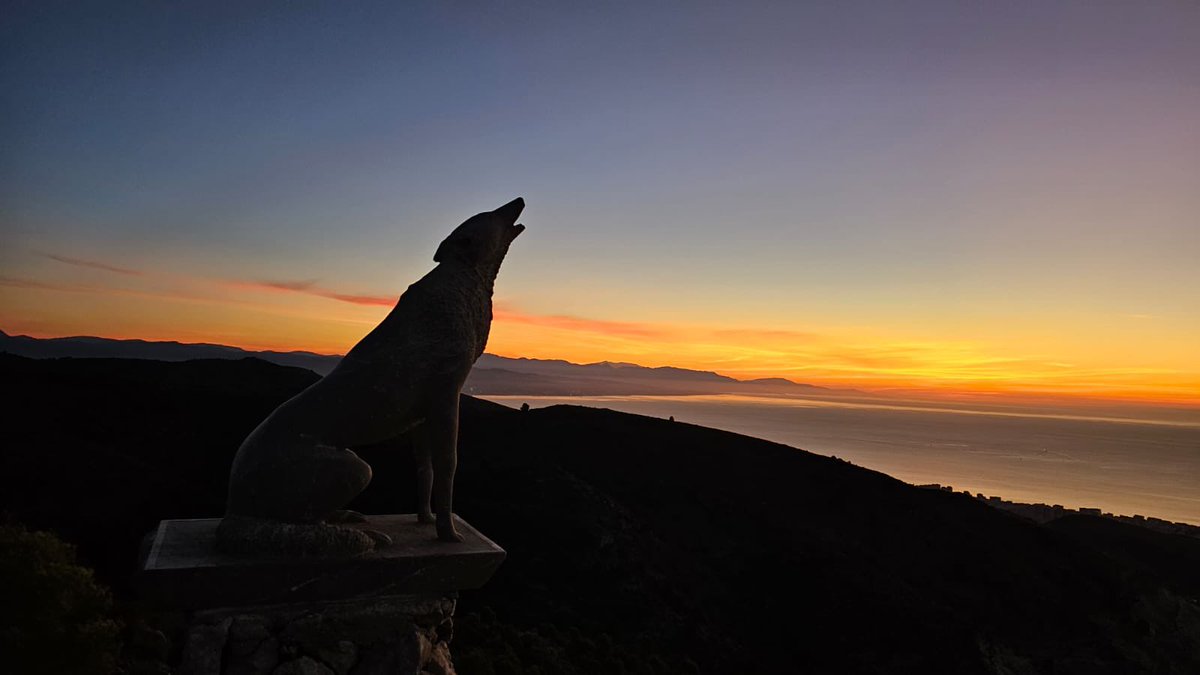 GranSendaMalaga's tweet photo. ¿Y si comenzamos el día viendo el amanecer en Gran Senda de Málaga ? #gr249 📸@perezperezcpa https://t.co/Ls5NqyGKVX