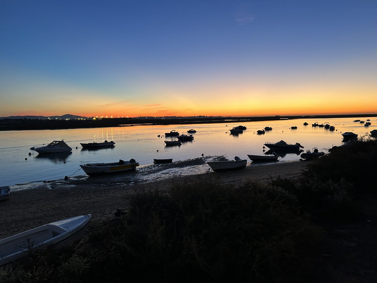 Lucy Turner tweet media