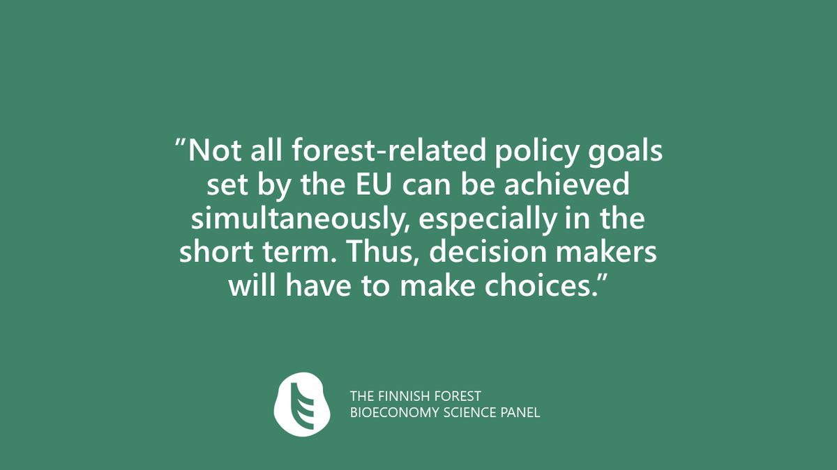 Metsätiedepaneeli on julkaissut viisi suositusta EU-päättäjille metsiin liittyvän päätöksenteon tueksi. Tutustu suosituksiimme täällä: metsatiedepaneeli.fi/wp-content/upl… #metsä