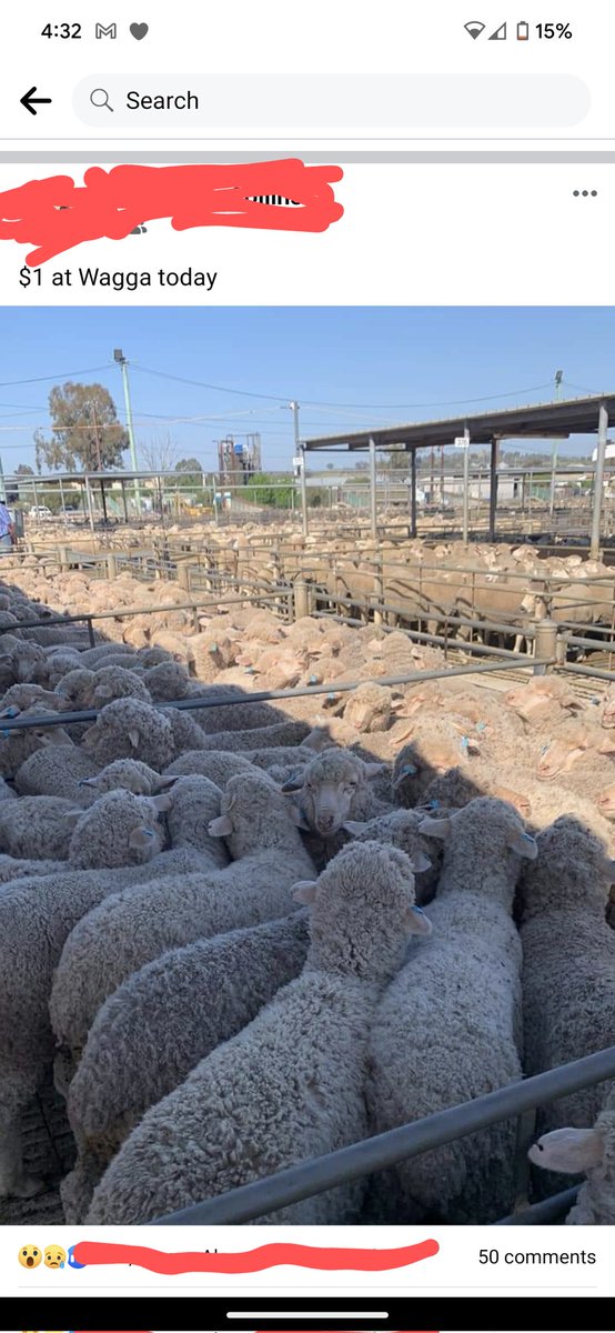 If you can't afford meat then get to your local livestock auctions and bid!
These sheep were sold for $1 each at Wagga. 

For the price of 1 big mac meal you could buy a years worth of lamb... just need to be willing to roll up your sleeves!