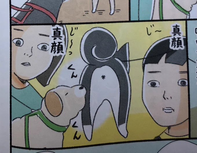 今週の週刊SPA!『犬々ワンダーランド』は犬の嗅ぎたい欲について描いてます🐕よろしくお願いします 