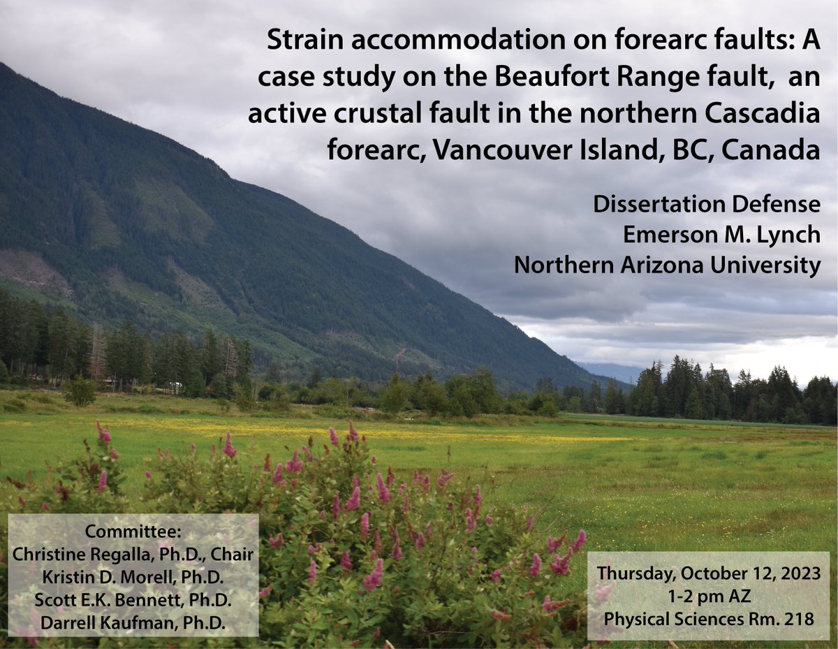 Emerson Lynch tweet media