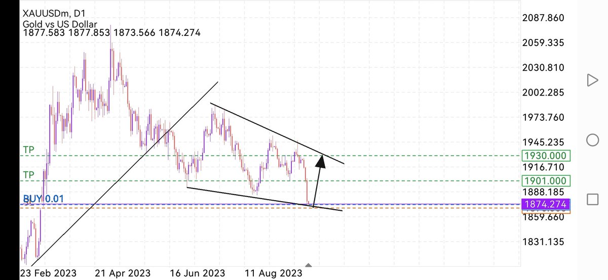 #XAUUSD #GOLD
D1
BU
STOP 1870
TP 1901
TP 1930