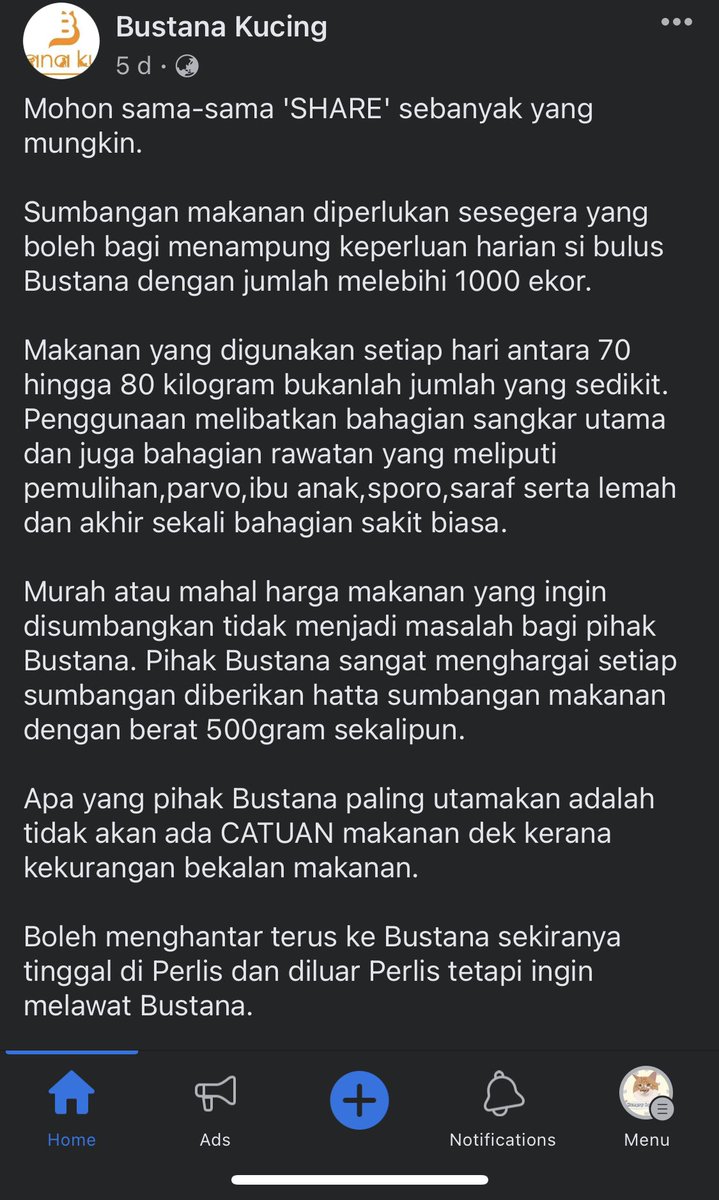 yemmeow's tweet photo. Korang kalau ada rezeki lebih boleh lah derma pada Bustana Kucing, kucing kat sana dah lebih 1000 ekor. Kalau nk pos makanan terus ke sana pun boleh. Nak adopt kucing lagi la bolehhh. Tolong RT tweet ni ramai ramai 🙏🏻🙏🏻🙏🏻 https://t.co/cLZmanOsGF