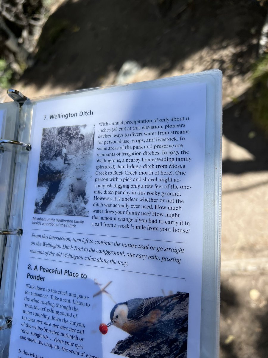 stormwatergirl's tweet image. Did I completely #waternerd and #dirtnerd out today at @GreatDunesNPS? Yes I totally did!!!!