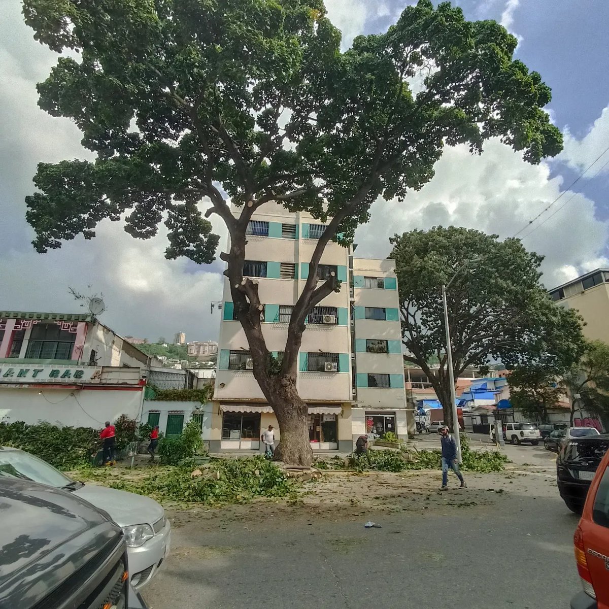 nakamartinez's tweet photo. #BuenasNoches Hoy la depresión termina por ganarme, a los 11 días que tengo sin luz, tengo que sumarle la mutilación de este árbol que yo amaba
#SinLuz #NoALaTala
#CaracasSinArboles
#CaracasSinSombra https://t.co/83KG66w2BB