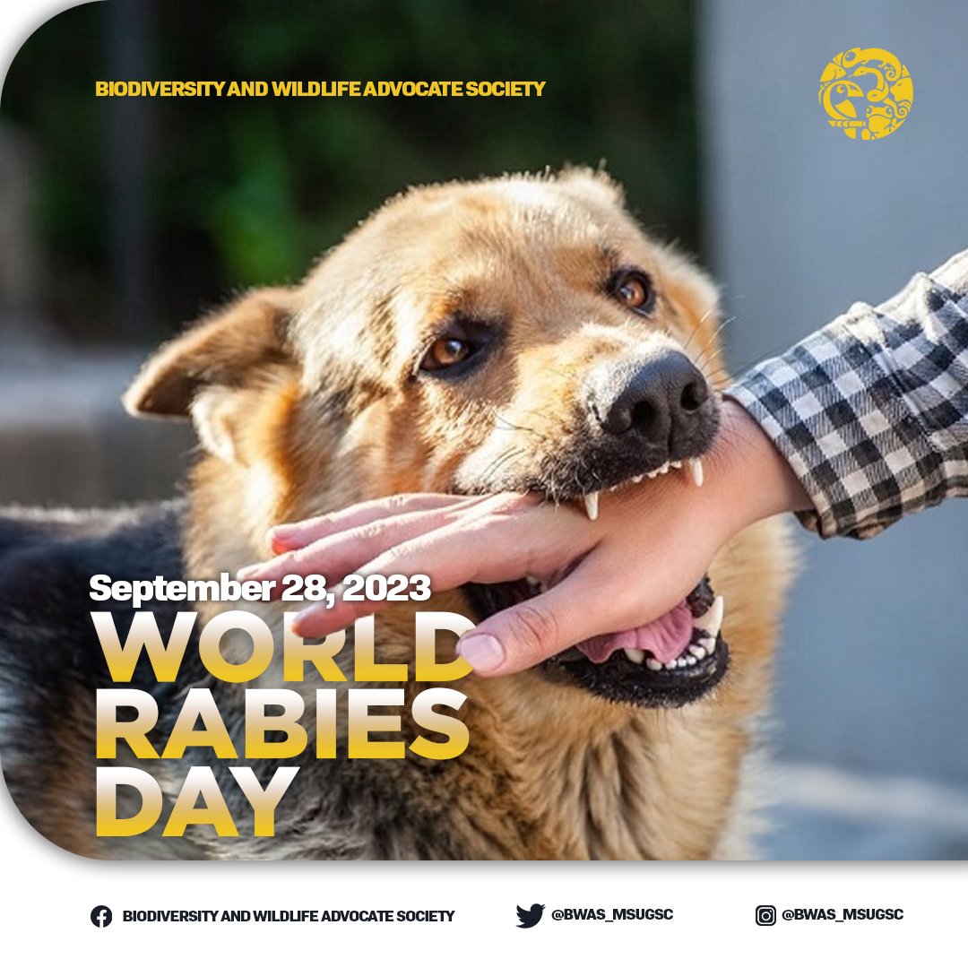 BWAS_MSUGSC's tweet photo. 𝐃𝐈𝐃 𝐘𝐎𝐔 𝐊𝐍𝐎𝐖?
Louis Pasteur is the one who created the first rabies vaccine, and today, we commemorate his efforts and all who have been the pioneers in combating this disease.

#VaccinateYourPets
#VaccinatedAndLoved
#APeekIntoTheWilderness https://t.co/RXG1GHsVMW