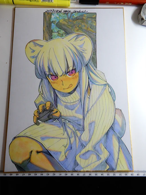 【アナログ2006:冬に備えるオコジョ】可愛いけど獰猛。耳と尻尾の先が黒い。A4色紙。#水彩 #原画 #オコジョ #色紙 