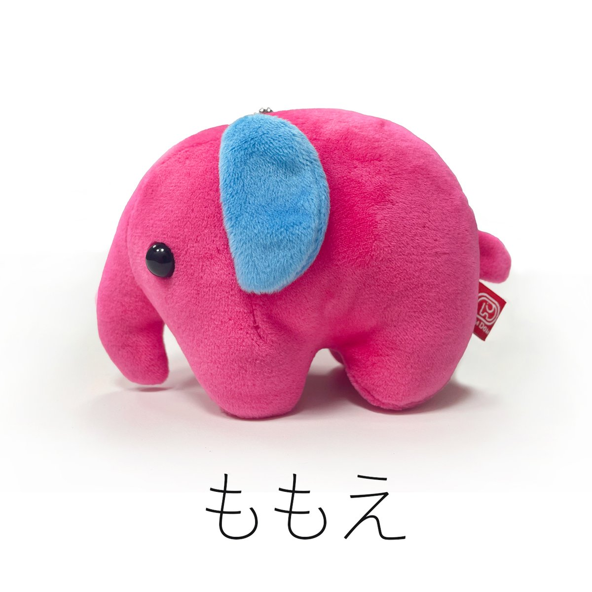 domdom_pr's tweet photo. 期待の新象

『ももえ』

メジャーデビュー https://t.co/X3iqZQPEtL