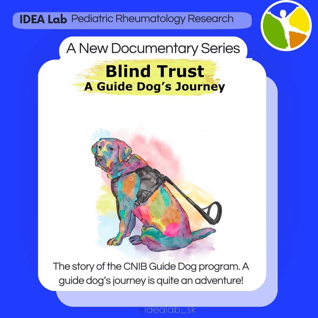 idealab_sk's tweet photo. Join us on a heartwarming journey of trust, companionship, and transformation in "Blind Trust: A Guide Dog's Journey."  Becki Zerr's six-part documentary series explores the incredible bond between guide dogs and their handlers. Don't miss it on AMI TV. https://t.co/E9UXui32hh
