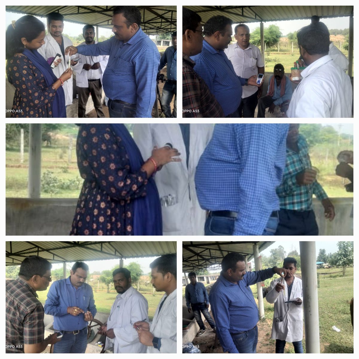 VetsKorba's tweet photo. दिनांक 27/09/23 को NLM अंतर्गत विकासखंड स्तरीय पशु मेला मे dilab team कोरबा द्वारा पशु जाँच शिविर मे मौके पर करीब 100 पशुओं का HB, URINE (urin strip), Blood glucose जाँच, CMT TEST किया गया एवं feacal व blood स्लाइड serum biochemistry sample लिए गए। https://t.co/xJrd2avU7C