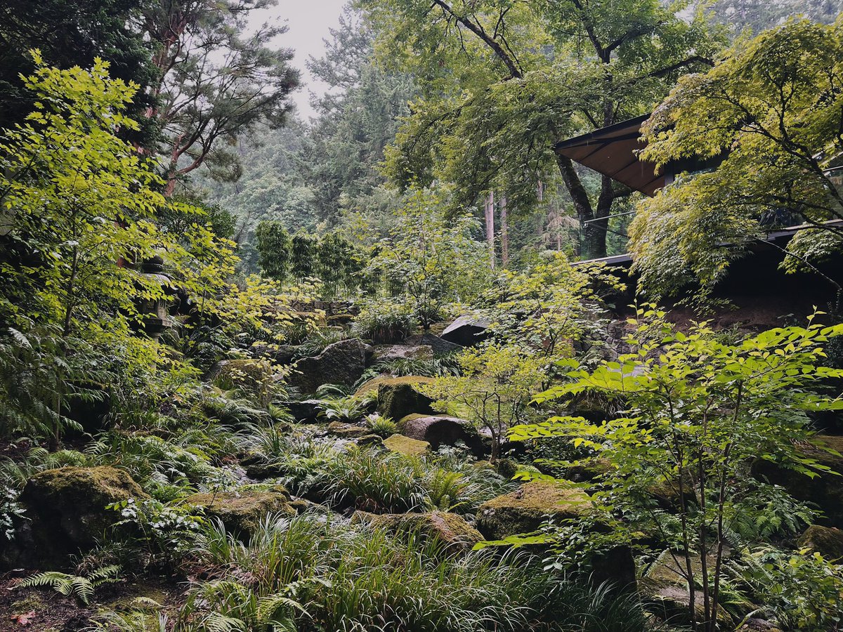 jsaagario's tweet photo. definitely better in person 🌲🍃 https://t.co/RyhPq6aQoY