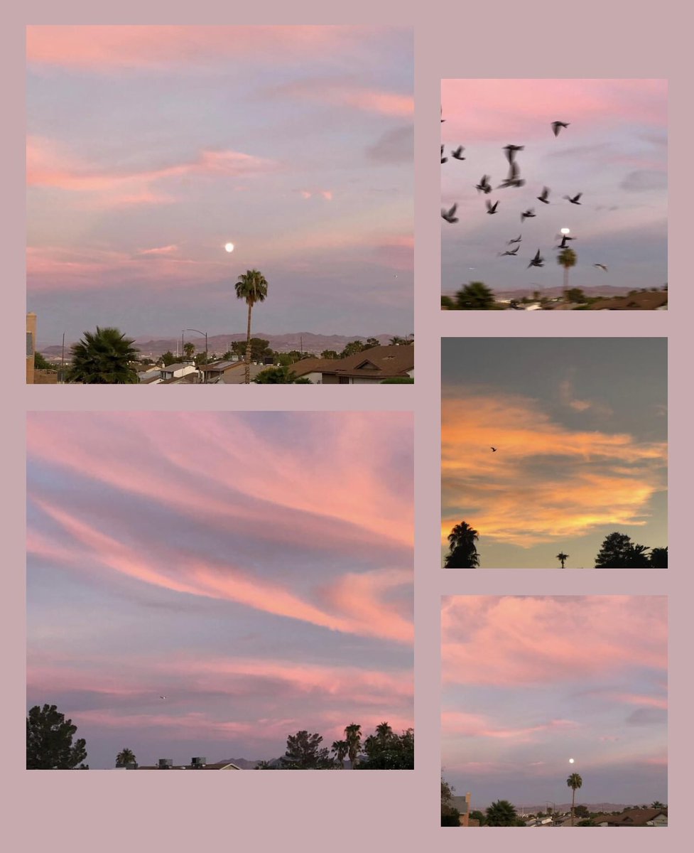 MicheleRossArts's tweet photo. Evening vibes. A few pinks and a big nearly full moon. 97.2% waxing gibbous. It will be full tomorrow night. #eveningvibes #waxingmoon #almostfullmoon #eveningclouds #bigmoon #desertlife https://t.co/FuQHJnWsor