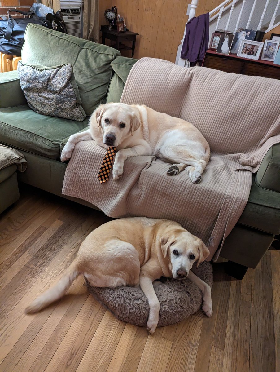 Susan DiClemente tweet media