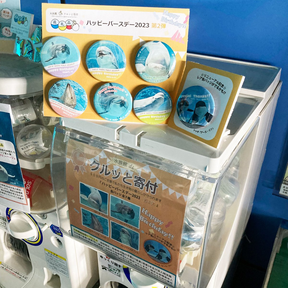 生き物の暮らしを応援していただく募金「水族館deクルッと寄付」の期間