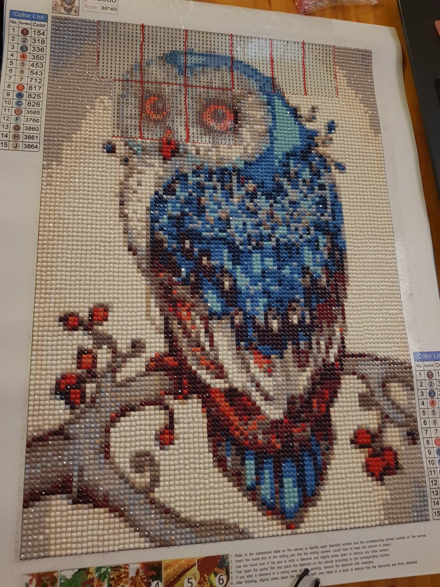 Piko_owo's tweet photo. We are getting to the home stretch of this diamond dot owl!

#twitch #twitchstreamer #DiamondDots https://t.co/GHN4WZpvGk