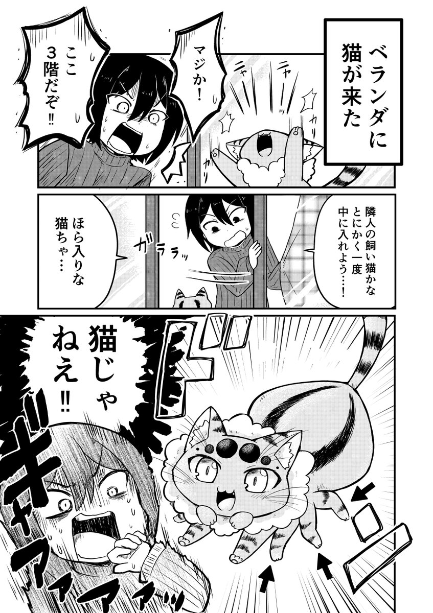 ベランダに猫みたいな蜘蛛が来る話① #創作漫画 #漫画が読めるハッシュタグ