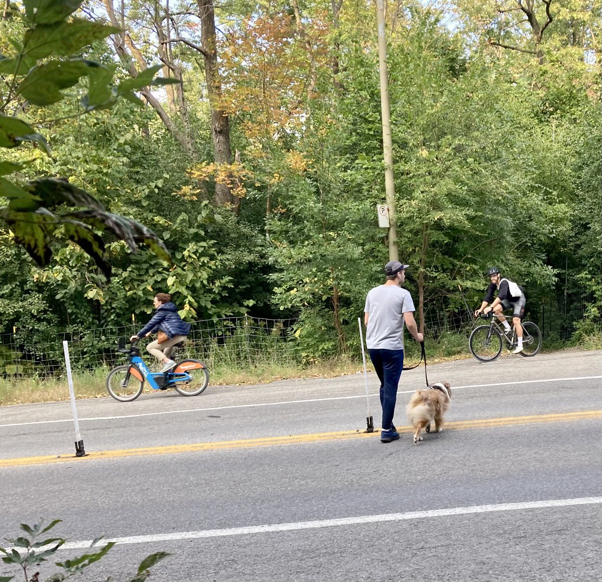 JillALance's tweet photo. Crossing Camilien-Houde in Parc du Mont-Royal. The road cuts the path linking the boisé d’Outremont and chemin Olmsted. A reminder that people other than sport cyclists and drivers use this space despite its dangerous and unwelcoming design. #polmtl @lemontRoyal @MTL_Ville https://t.co/Rj8sxH9c5k