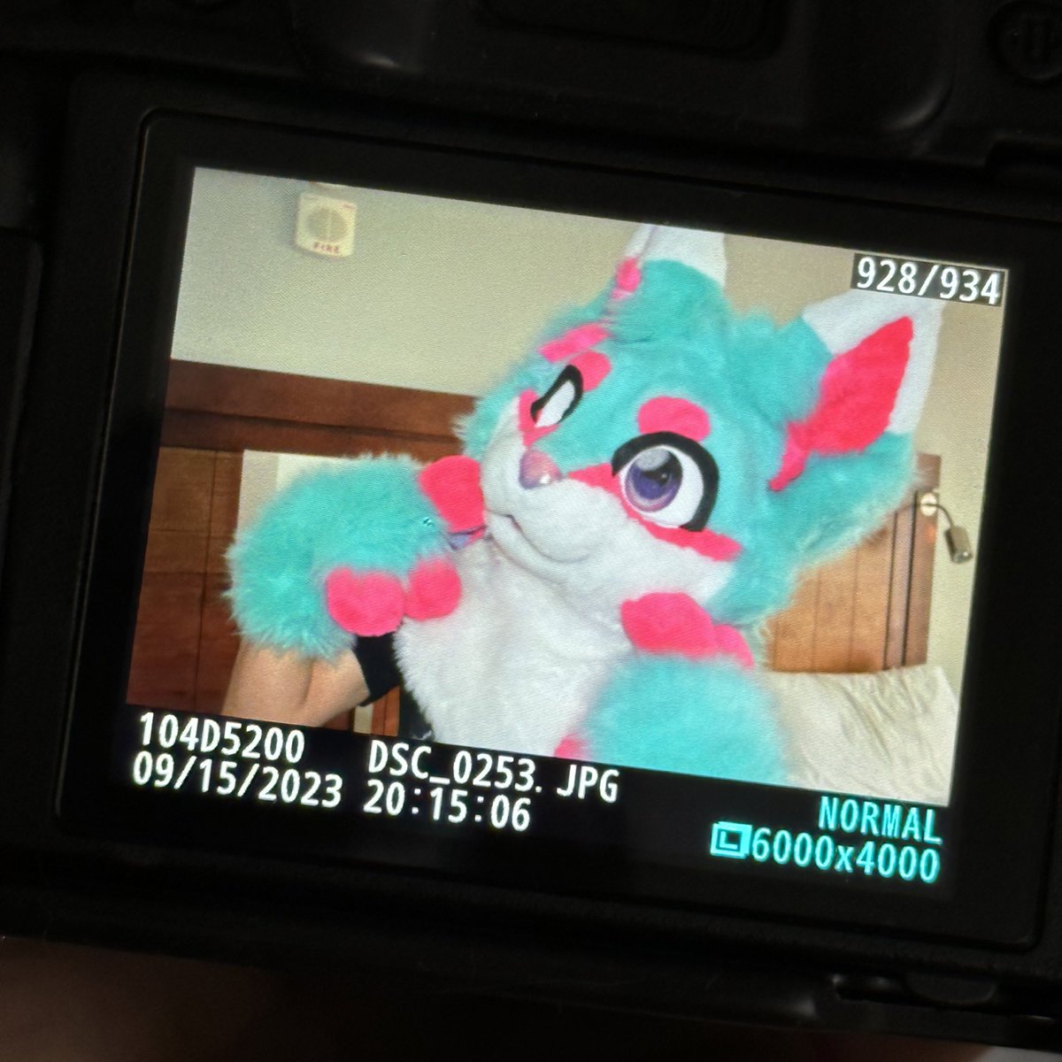 confectionpup's tweet photo. peruvian asian-latino here HEY!!! 🇵🇪 most of my life ive felt very out of place since ive had a hard time with my identity but this community has helped me feel like i belong 🥲❤️
#BMO #BEYONDTHEFANDOM #FURSOFCOLOR https://t.co/v2O7wKDXC2