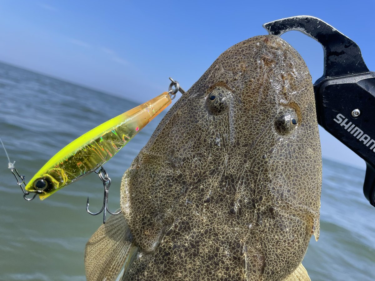 k_fishing06's tweet photo. 手前はクリアですが、沖の濁りが入っているラインを狙いたいのでカラーは、オレンジテールゴールドを選択しました!
かけ下がりから、1番深くなった所に来たタイミングでフォールを入れるとHITしてくれました🔥
#DUEI
#モンスターショット80s https://t.co/Sq9292P0sq