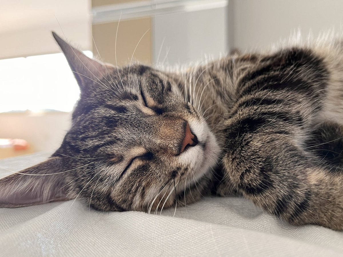 Me hace demasiado feliz tenerlas en mi vida 💛