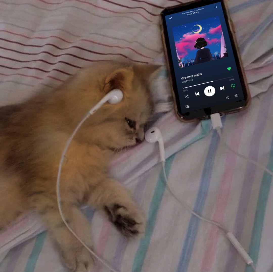 Nekōyen ₍^. .^₎⟆ tweet media