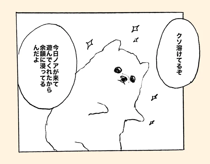 おもち🐶 