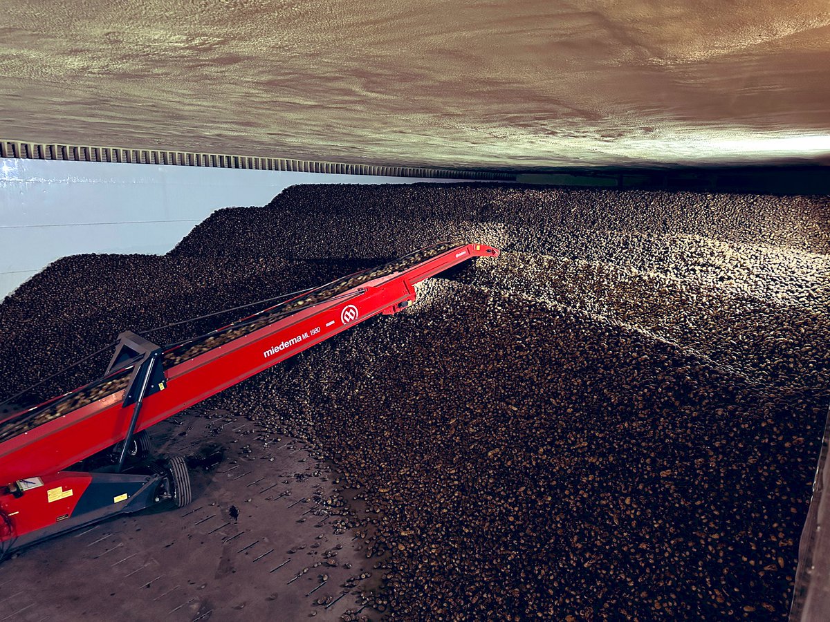 We are onto the last field of Potatoes, the end is in sight!!