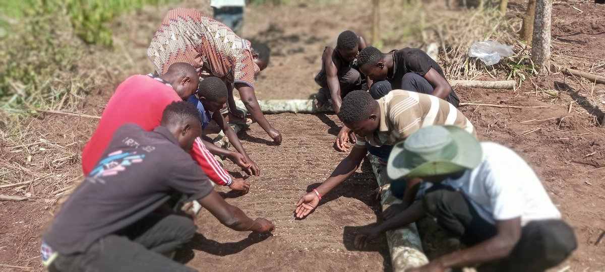 Just like any other crop that is sown and managed in the garden, trees equally require adquate management and care especially during the early stages of establishment. Whether from seed or regenerating, take care of your trees. Some of the work FMNR Network supports.