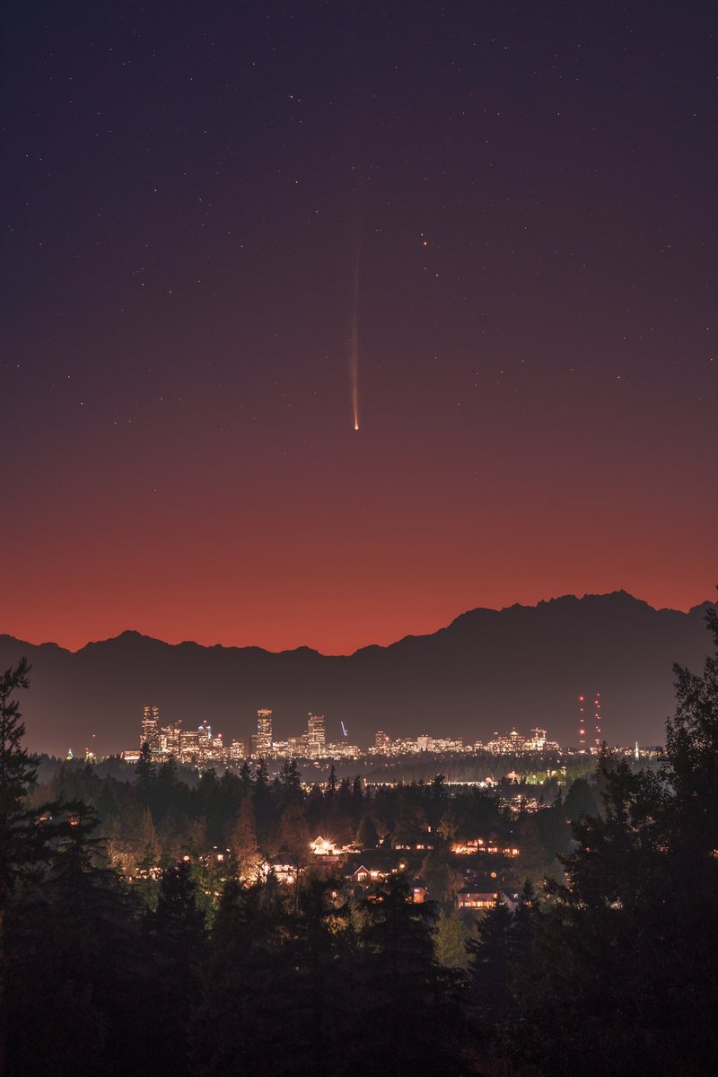 ☄️ Comet Nishimura 🤝’s Seattle