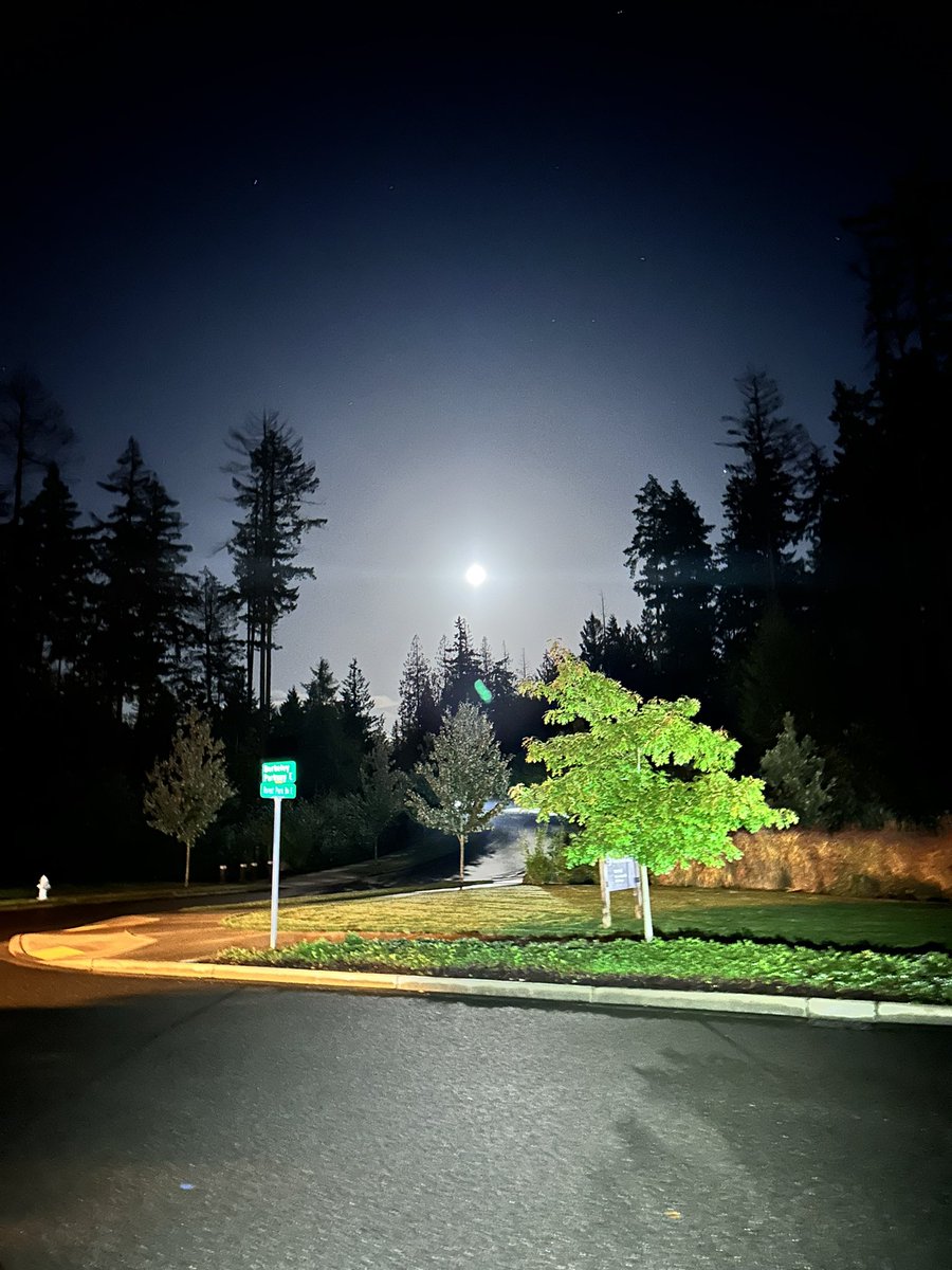 krissymmurphy's tweet photo. Seen #onmyrun! No filter. Just vibes. https://t.co/qDOnIphLI8