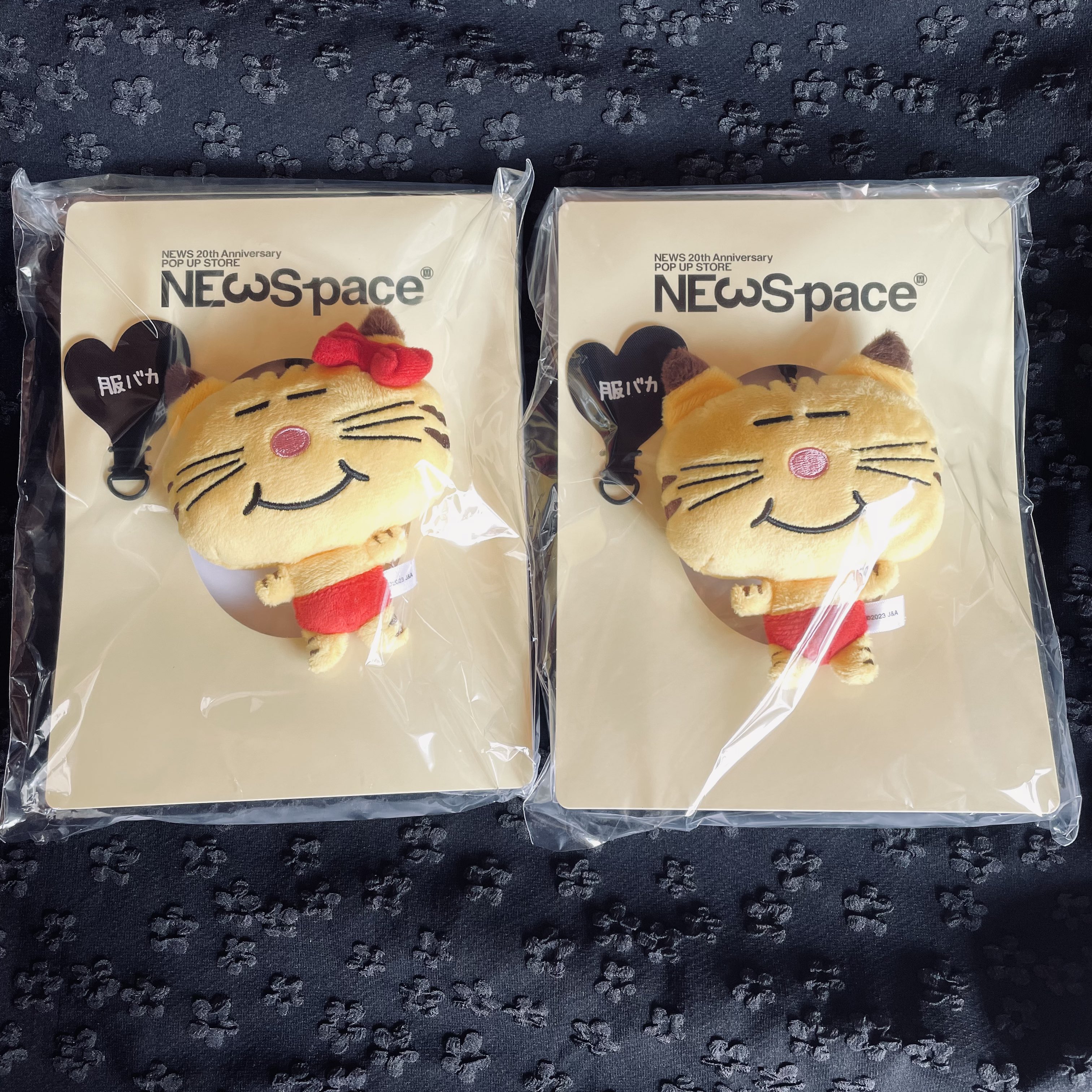NEWSpace 増田貴久 ネコます