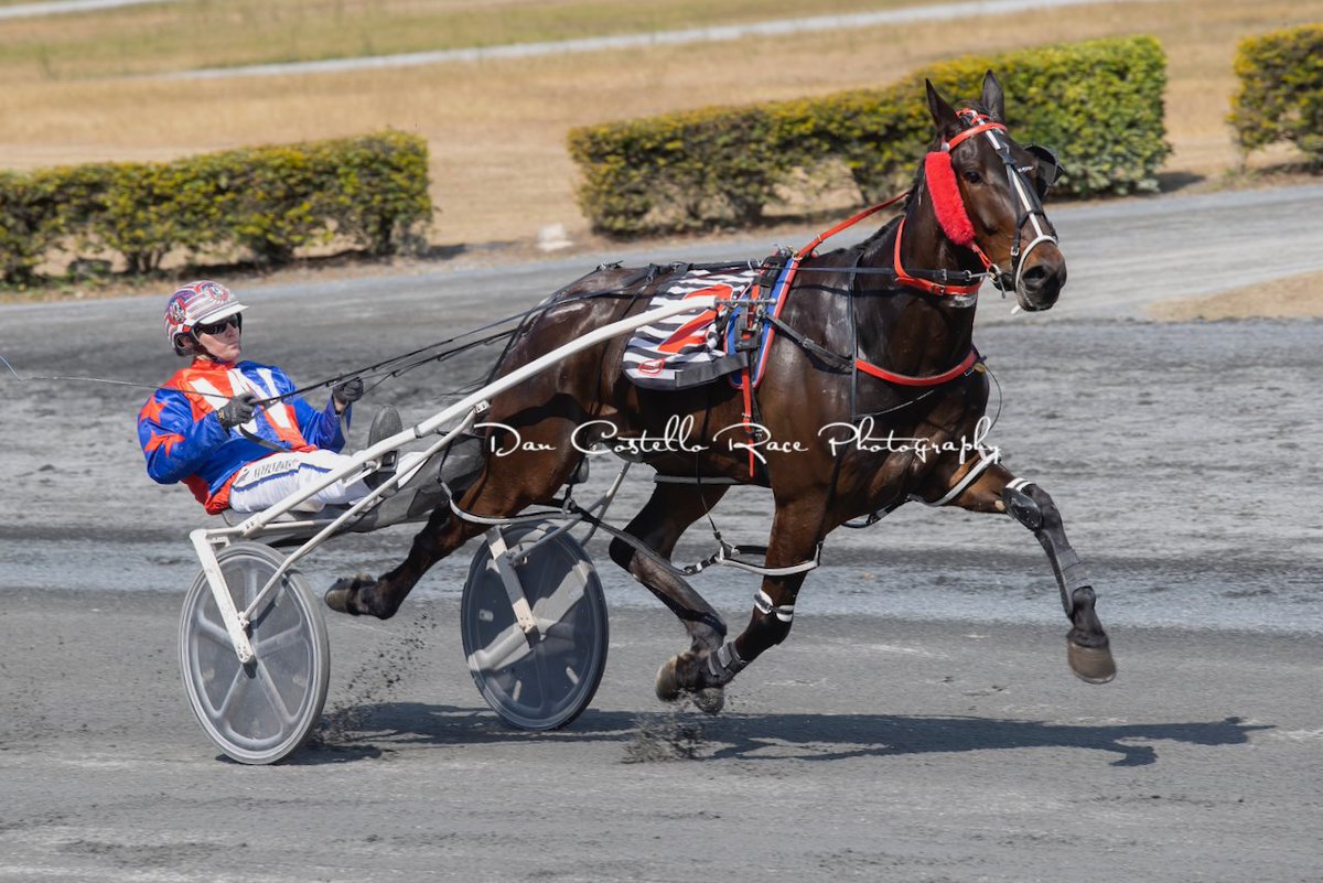 DanRacingWrap's tweet photo. First out &amp; first home Bee Gees Best with Nathan Dawson win race 2 @redcliffe_hrc for trainer @WilliamsRacing5 https://t.co/ejPcB6ymcC