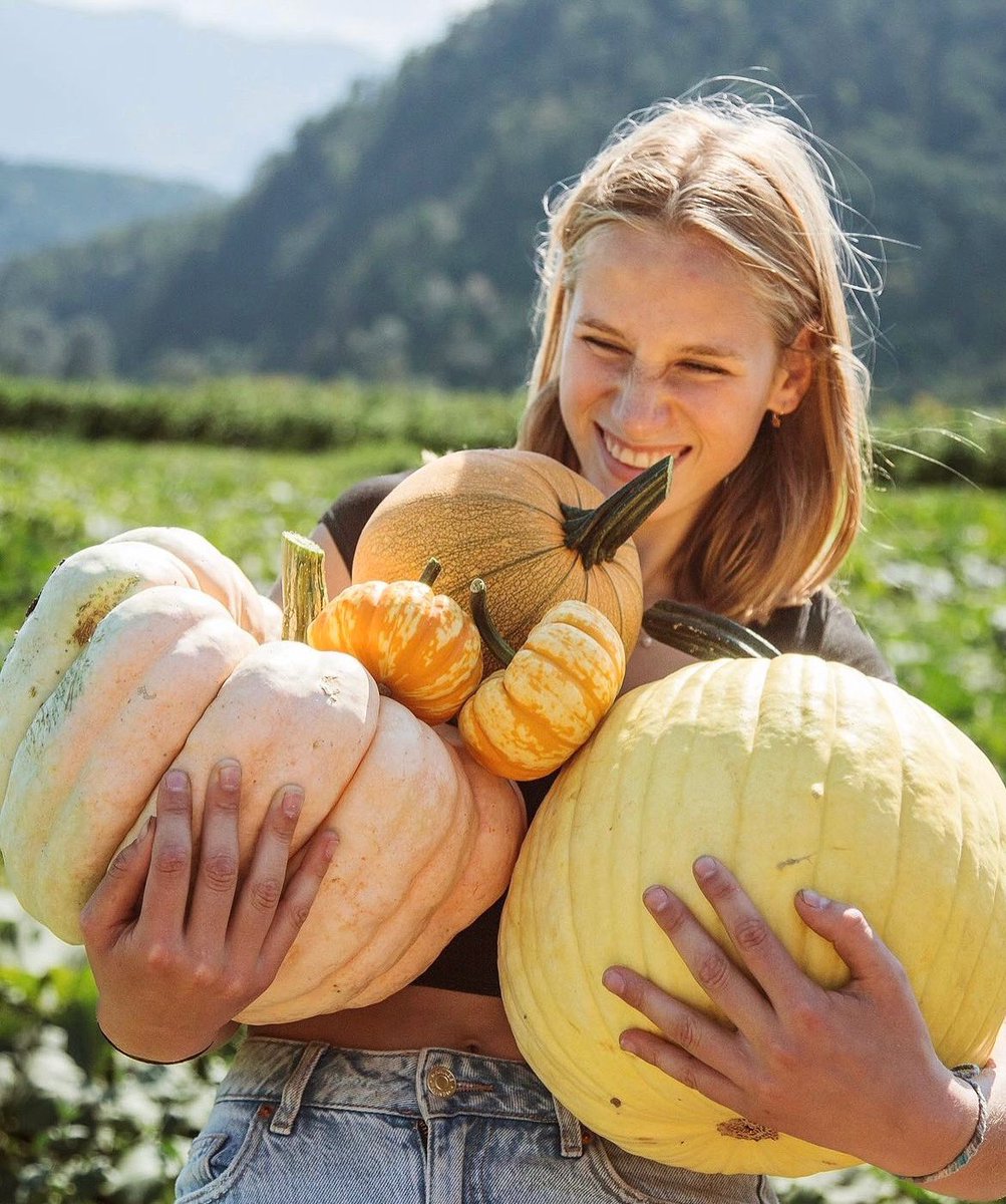 Gardens British Columbia tweet media