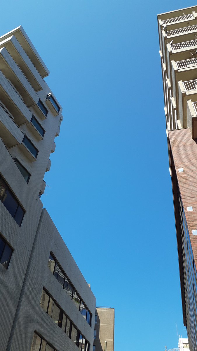 RE_days_'s tweet photo. こんにちは！
今日の #横浜 は晴れです☀️
今日は #くつやの日 です！ 
最近目に見えて靴がすり減ってきたので、自分へのご褒美でいい靴を買いたいです👞
午後からもよろしくお願いします！ 

#企業公式つぶやき部 
#企業公式夏のフォロー祭り
#イマソラ 
#企業公式が毎朝地元の天気を言い合う https://t.co/sXIpluPLbv